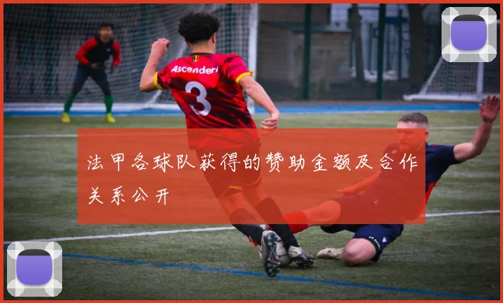 法甲各球队获得的赞助金额及合作关系公开
