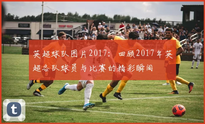 英超球队图片2017：回顾2017年英超各队球员与比赛的精彩瞬间