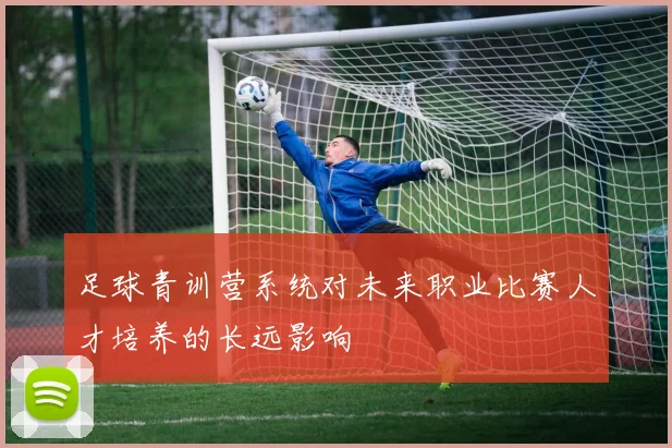 足球青训营系统对未来职业比赛人才培养的长远影响