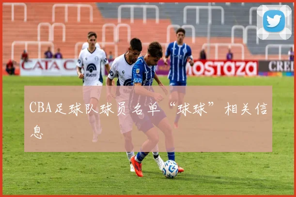 CBA足球队球员名单“球球”相关信息