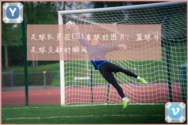 足球队员在CBA看球的图片：篮球与足球交融的瞬间